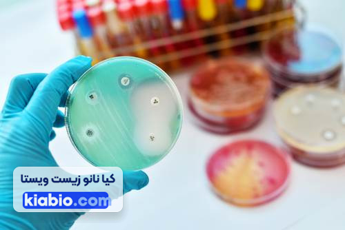 آزمون آنتی باکتریال Disc diffusion