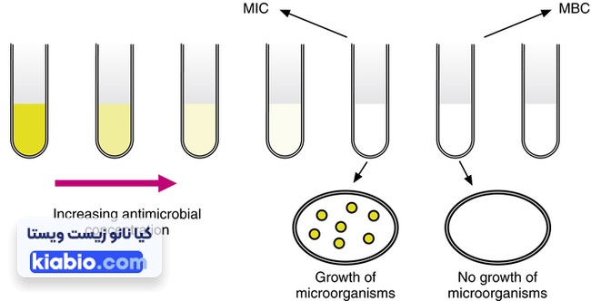 آزمون آنتی باکتریال Mic.Mbc