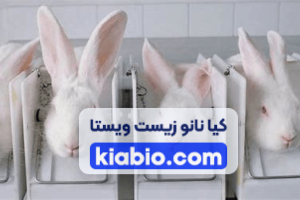 استفاده از خرگوش آزمایشگاهی برای آزمون تب زایی
